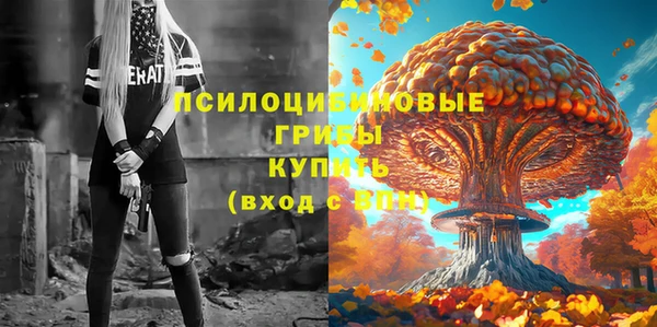 дживик Абаза