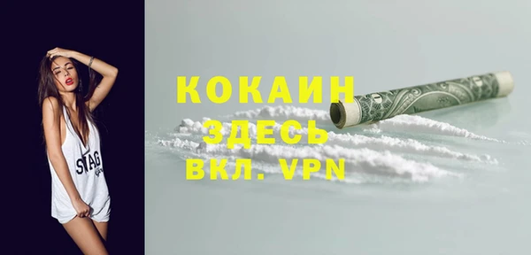 дживик Абаза