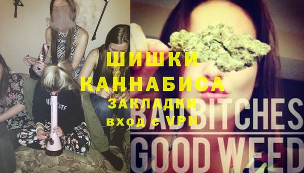 дживик Абаза