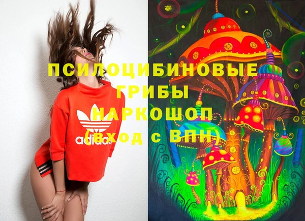тгк Алексин