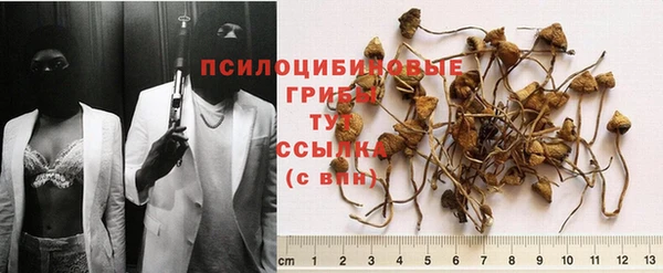 а пвп мука Алзамай
